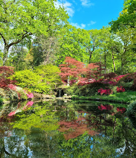 HIHS Trip to Exbury Gardens