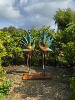 IMG 1658