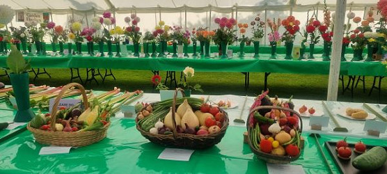 2024 EHS Marquee & Show a huge success