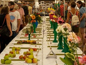 2025 Emsworth Horticultural Show Results