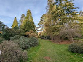 Talk:  Subtle Art and Exact Science of Pruning