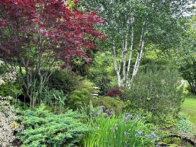 Day Trip to Andy McIndoe’s Garden & Broadlands Garden Show