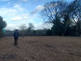 Supporting a New Community Garden