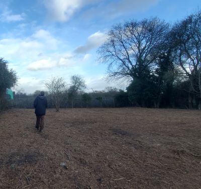 Supporting a New Community Garden